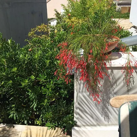 Apartman Lana *